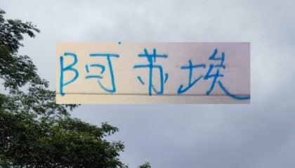 九游娱乐app下载-海港也走捡漏路线了 22岁多哥外援会比24岁申花前锋高级吗